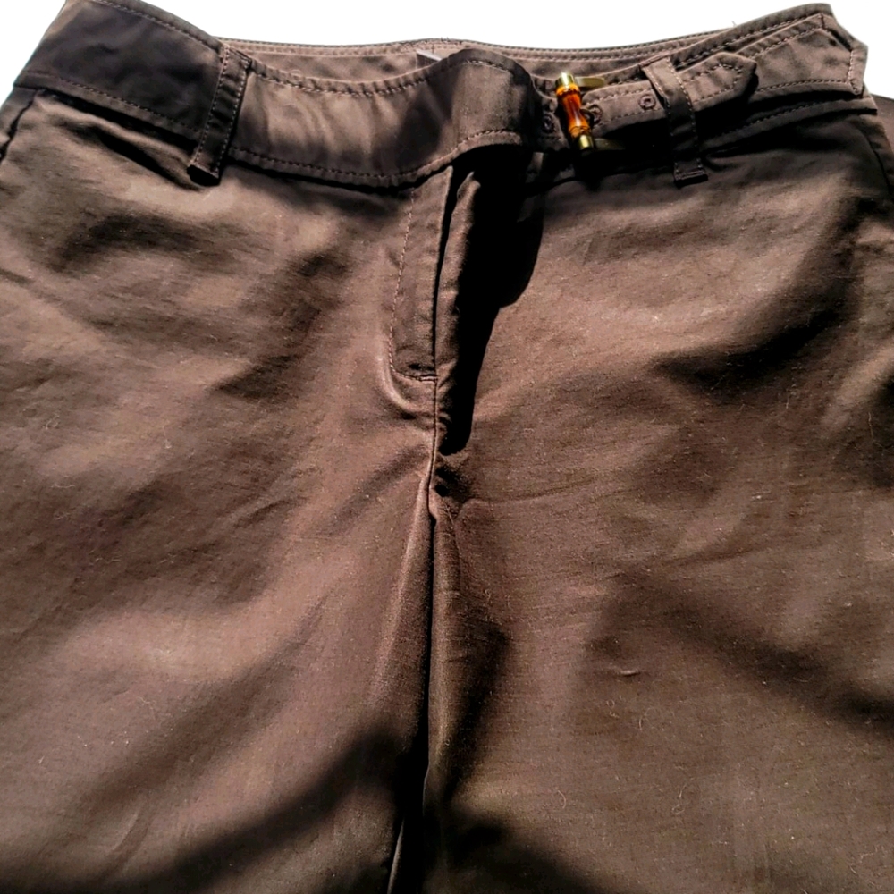 Ann Taylor Dress Pants